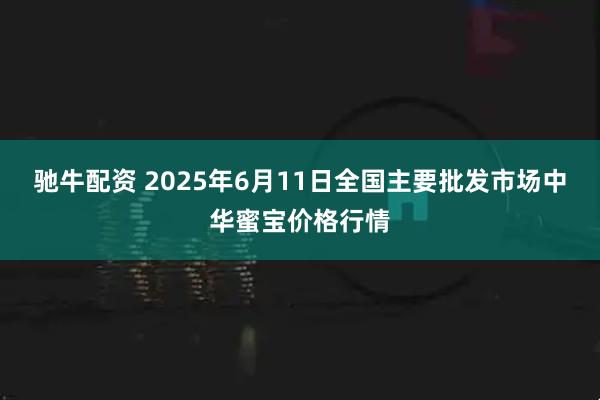 驰牛配资 2025年6月11日全国主要批发市场中华蜜宝价格行情