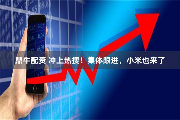 鼎牛配资 冲上热搜！集体跟进，小米也来了