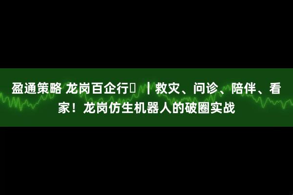 盈通策略 龙岗百企行⑪｜救灾、问诊、陪伴、看家！龙岗仿生机器人的破圈实战