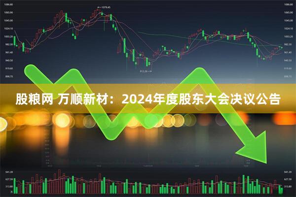 股粮网 万顺新材：2024年度股东大会决议公告